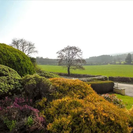 Bolams Homes By Trident Homes *